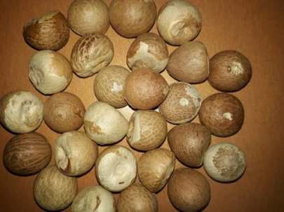 Badi Supari Loose, 1kg 