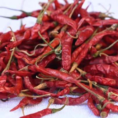 Dry Aakha Mirchi Loose ,  1 kg