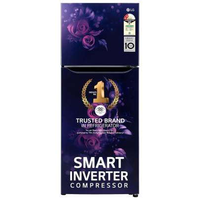 LG 242 L 2 Star Smart Inverter Frost-Free Double Door Refrigerator Appliance (2023 Model, GL-N292BBEY, Blue Euphoria, Smart