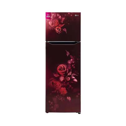 LG GL-N292BSEY 242 L 2 Star Double Door Refrigerator